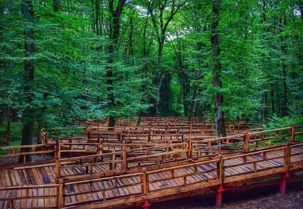 پارک جنگلی ناهار خوران