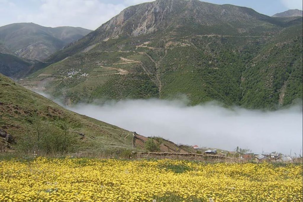 ییلاق شیخ موسی