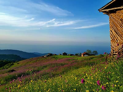 نگاهی گذرا به جواهرده