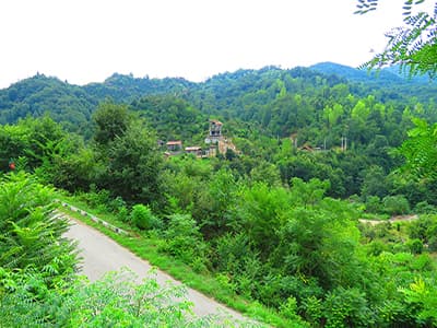 پوشش گیاهی و پوشش جانوری در جواهرده