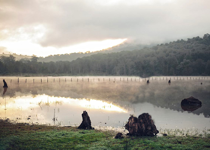 خطرات احتمالی در سفر به دریاچه الندان