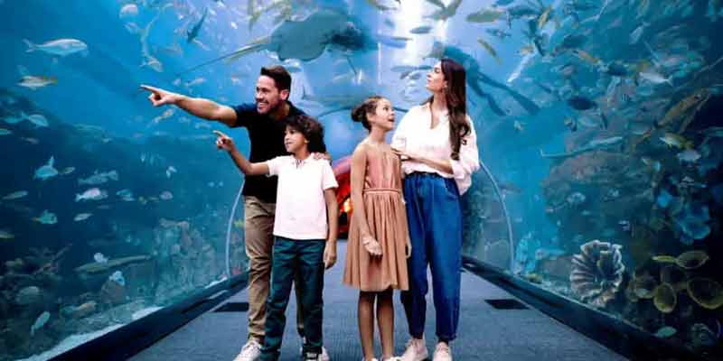 استراتژی برچسب بزرگ‌ترین و بلندترین-آکواریوم دبی