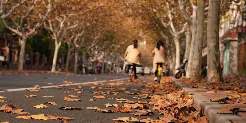 شانگهای در پاییز